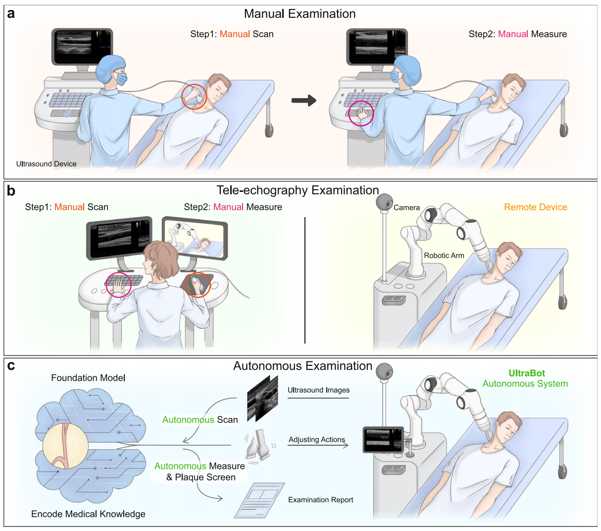 Autonomous carotid ultrasonography